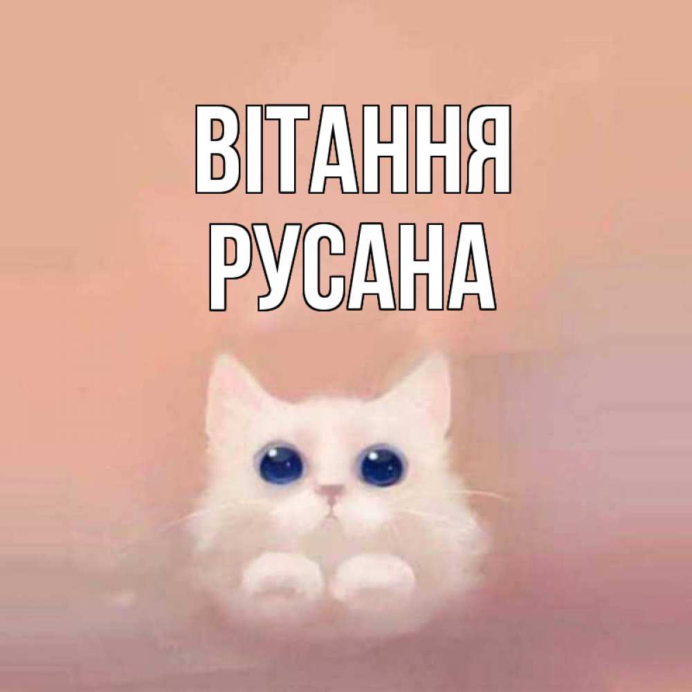 Открытка на каждый день з підписом, Русана Вітання котик белый в полете Прикольна листівка з побажанням онлайн скачати безкоштовно 