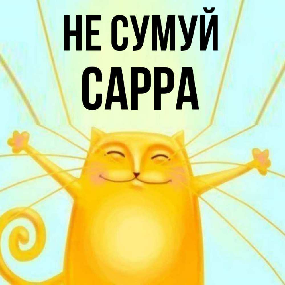 Открытка на каждый день з підписом, Сарра Не сумуй обнимашки усатые Прикольна листівка з побажанням онлайн скачати безкоштовно 