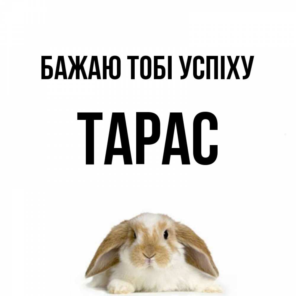 Открытка на каждый день з підписом, Тарас Бажаю тобі успіху открытки с произвольным текстом который можно вставить в открытку и создать ее самостоятельно бесплатно онлайн Прикольна листівка з побажанням онлайн скачати безкоштовно 