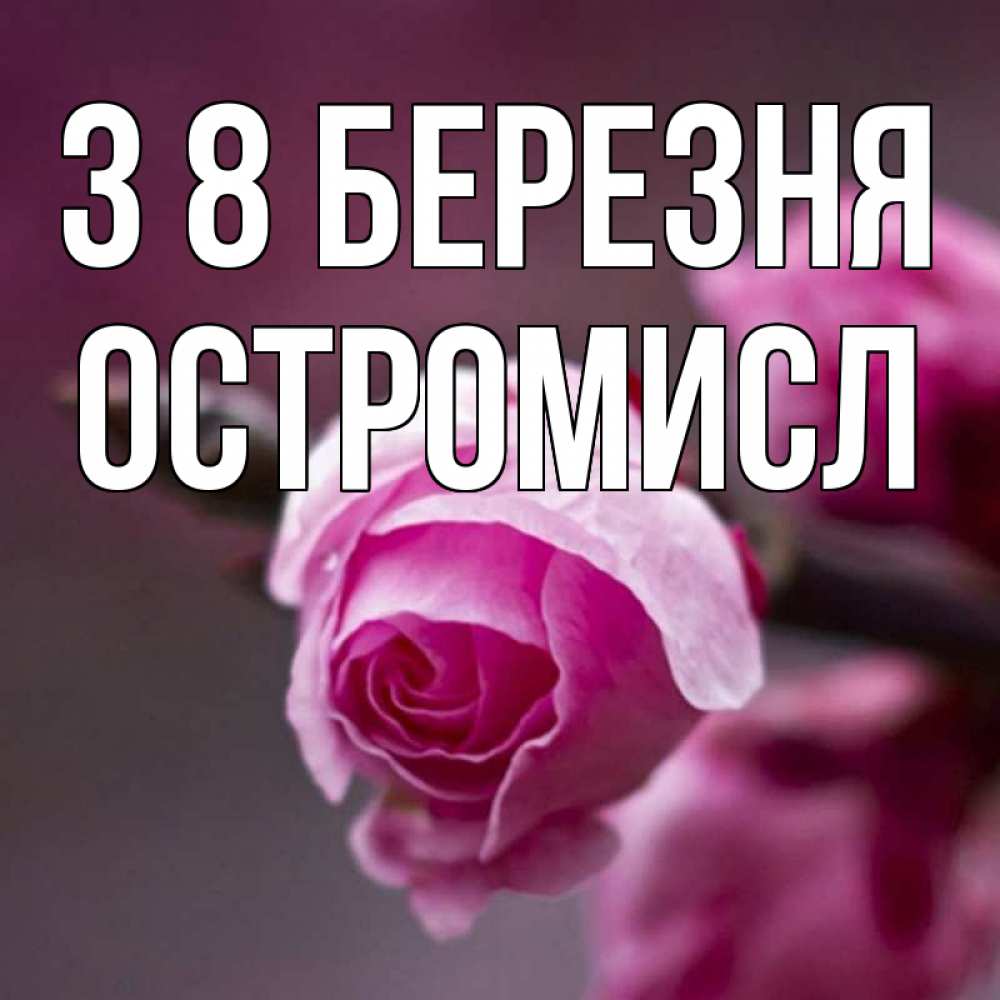 Открытка на каждый день з підписом, Остромисл З 8 БЕРЕЗНЯ весна Прикольна листівка з побажанням онлайн скачати безкоштовно 