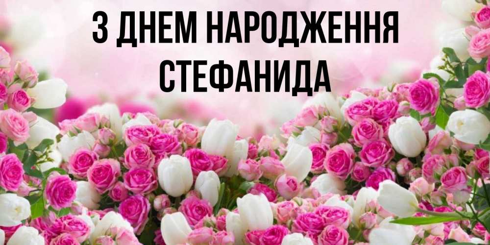Открытка на каждый день з підписом, Стефанида З Днем народження открытка с разными розами Прикольна листівка з побажанням онлайн скачати безкоштовно 