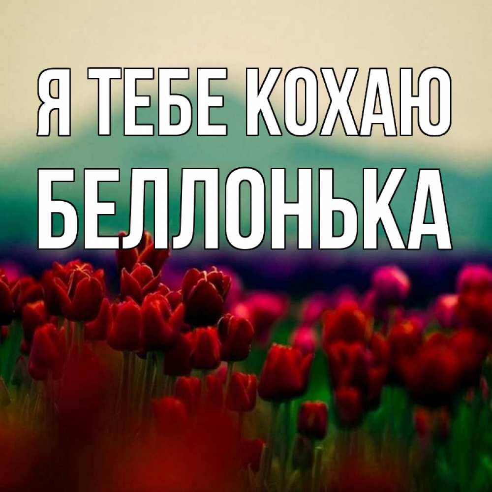 Открытка на каждый день з підписом, Беллонька Я тебе кохаю тюльпаны 4 Прикольна листівка з побажанням онлайн скачати безкоштовно 