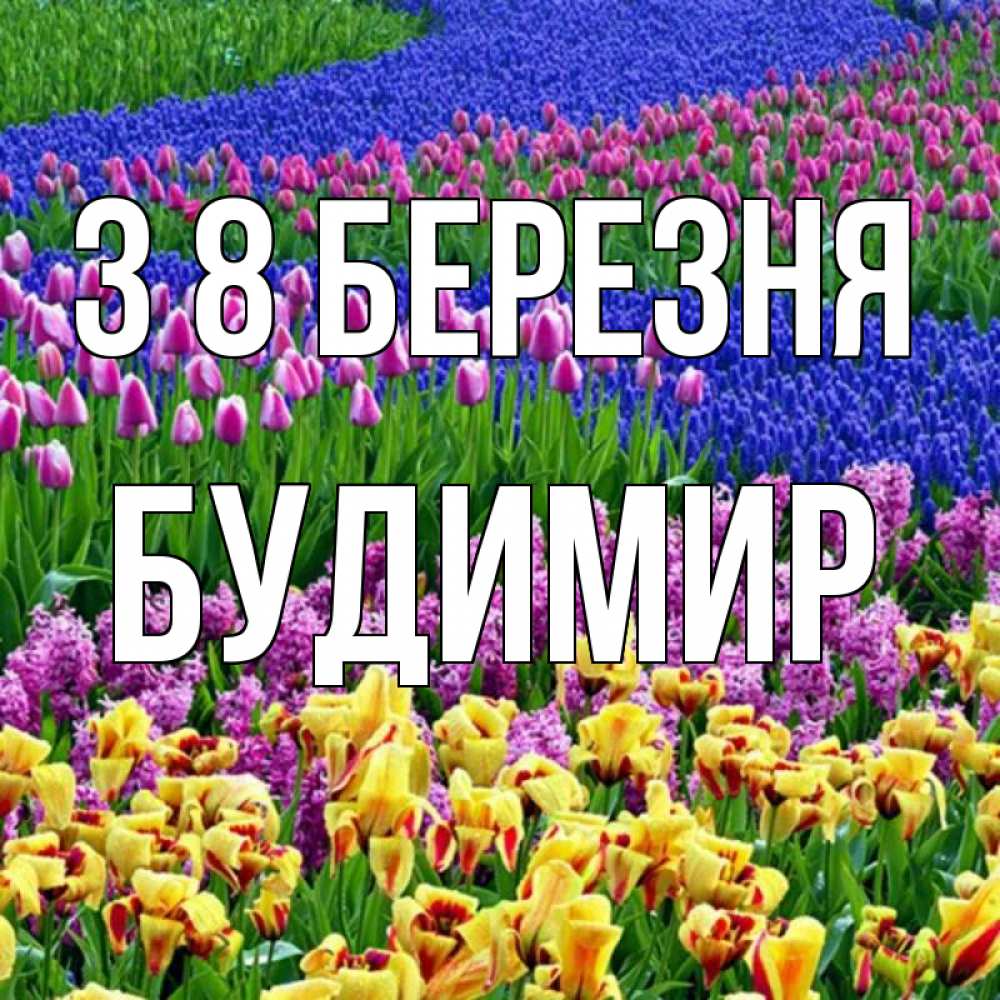 Открытка на каждый день з підписом, Будимир З 8 БЕРЕЗНЯ цветы Прикольна листівка з побажанням онлайн скачати безкоштовно 