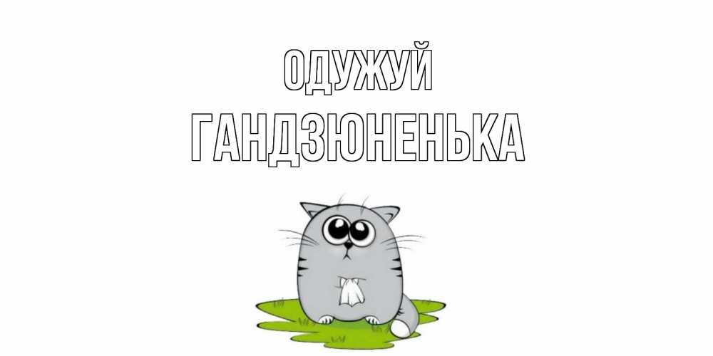 Открытка на каждый день з підписом, Гандзюненька Одужуй кот и открытки про выздоровление Прикольна листівка з побажанням онлайн скачати безкоштовно 