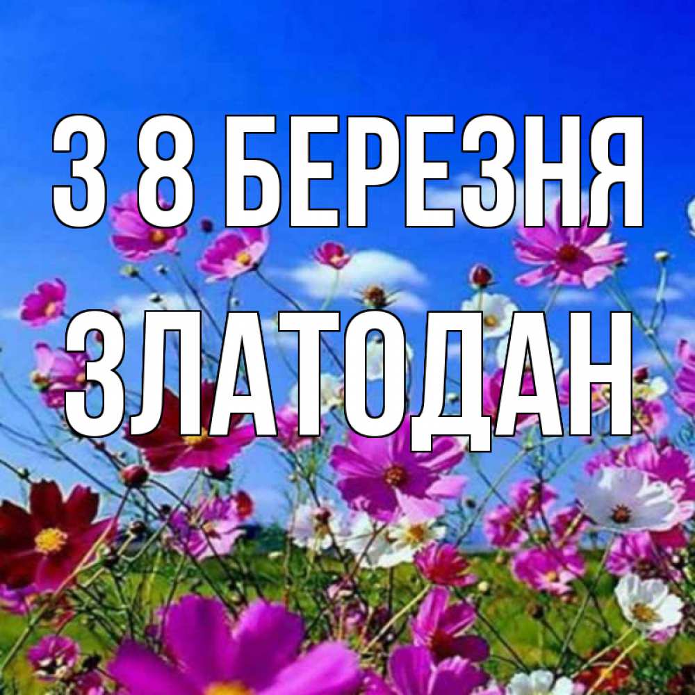Открытка на каждый день з підписом, Златодан З 8 БЕРЕЗНЯ цветы Прикольна листівка з побажанням онлайн скачати безкоштовно 