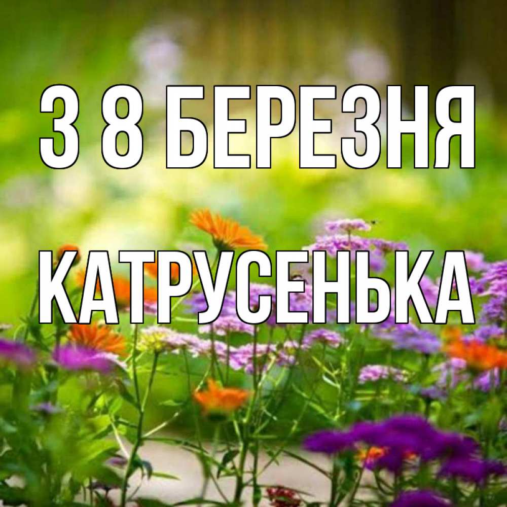 Открытка на каждый день з підписом, Катрусенька З 8 БЕРЕЗНЯ цветы Прикольна листівка з побажанням онлайн скачати безкоштовно 