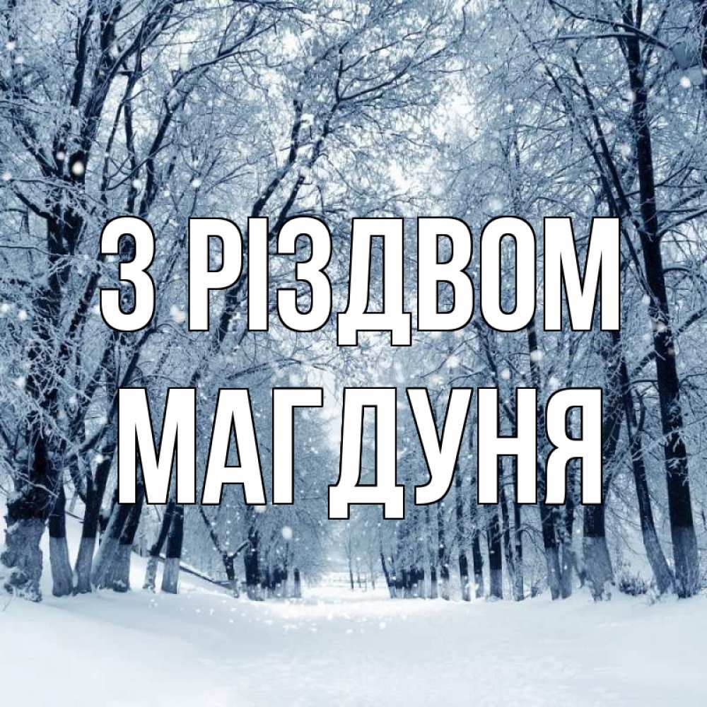 Открытка на каждый день з підписом, Магдуня З Різдвом снег, лес, парк Прикольна листівка з побажанням онлайн скачати безкоштовно 