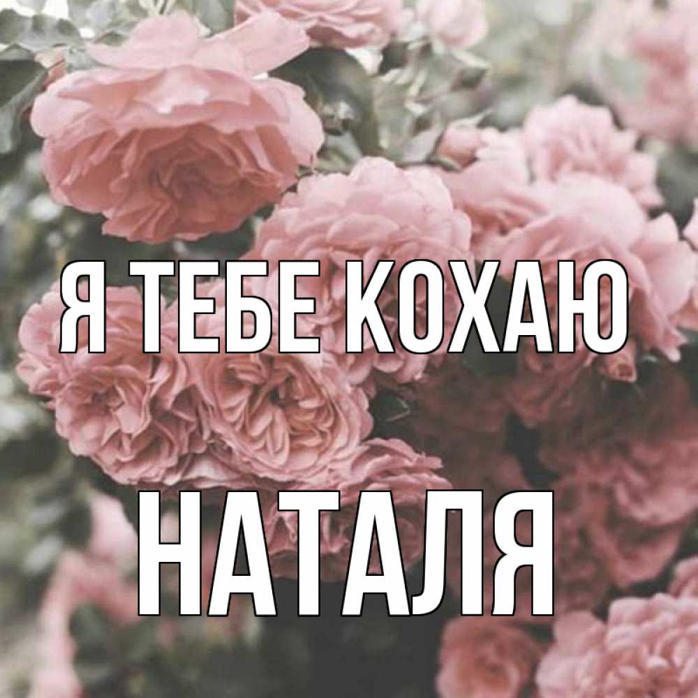 Открытка на каждый день з підписом, Наталя Я тебе кохаю розы 3 Прикольна листівка з побажанням онлайн скачати безкоштовно 