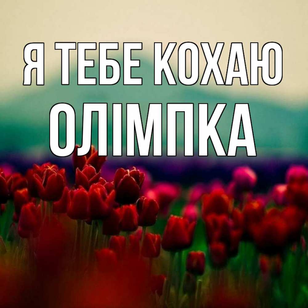 Открытка на каждый день з підписом, Олімпка Я тебе кохаю тюльпаны 4 Прикольна листівка з побажанням онлайн скачати безкоштовно 