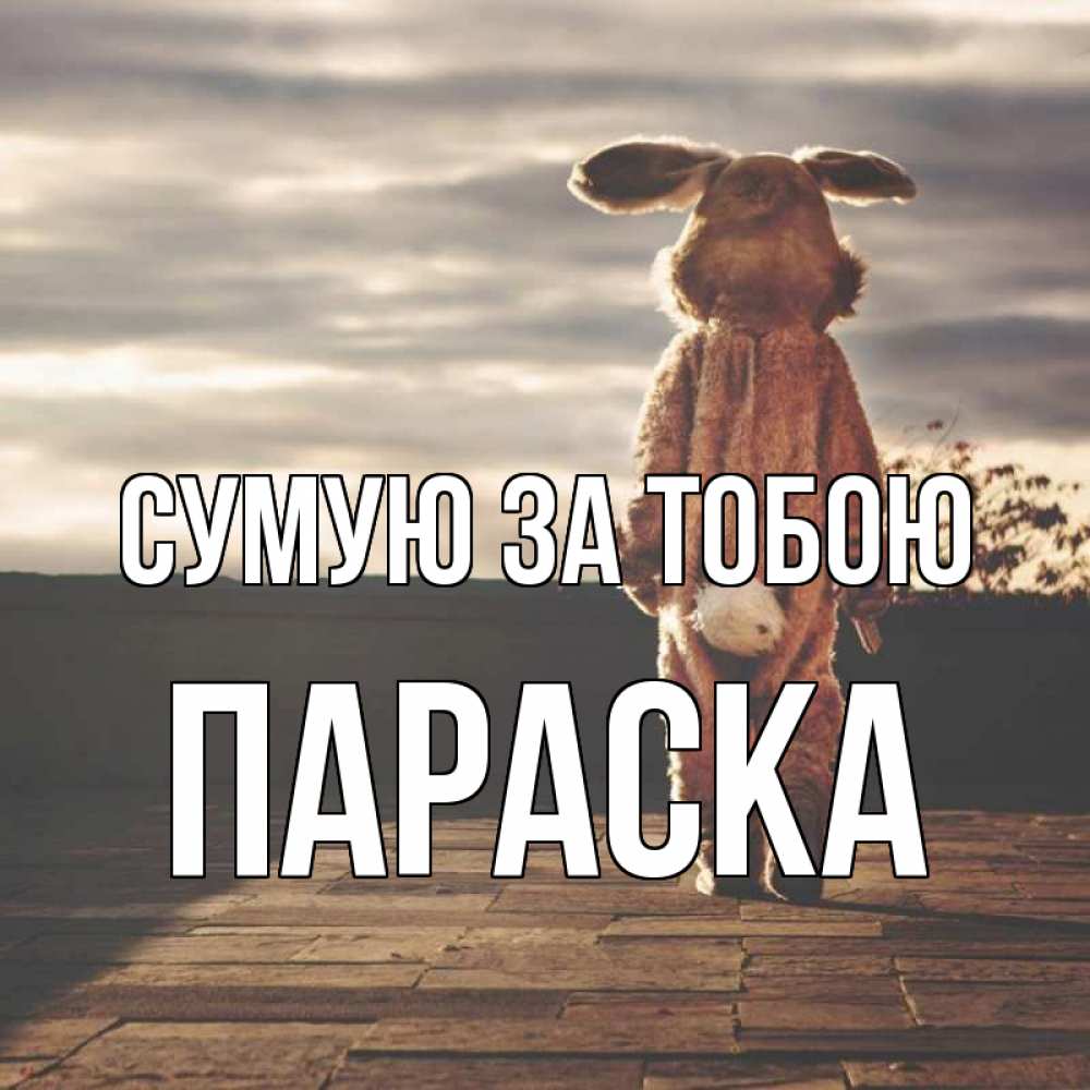 Открытка на каждый день з підписом, Параска Сумую за тобою даже в костюме зайца Прикольна листівка з побажанням онлайн скачати безкоштовно 