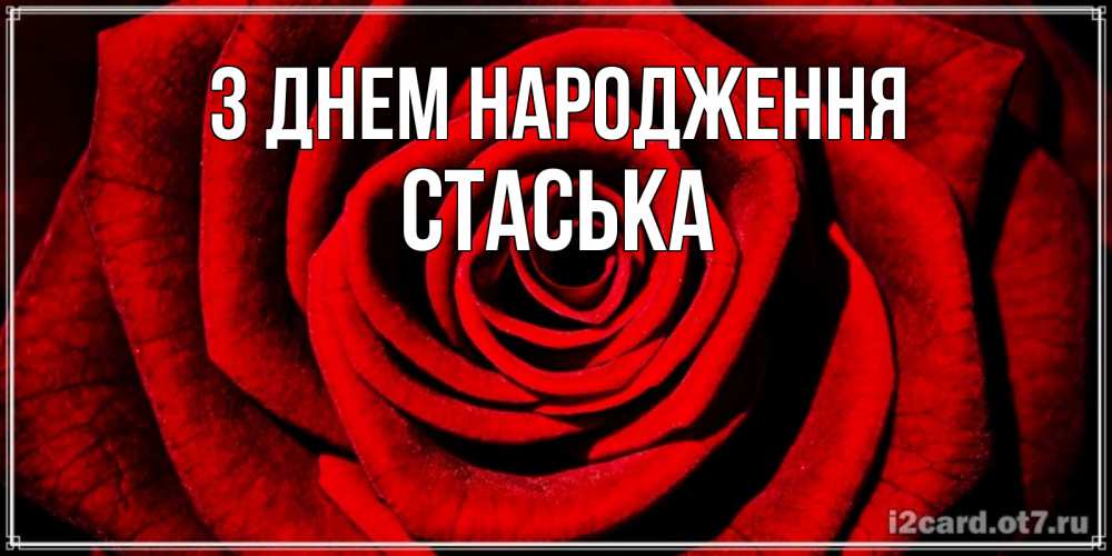 Открытка на каждый день з підписом, Стаська З Днем народження алая роза Прикольна листівка з побажанням онлайн скачати безкоштовно 