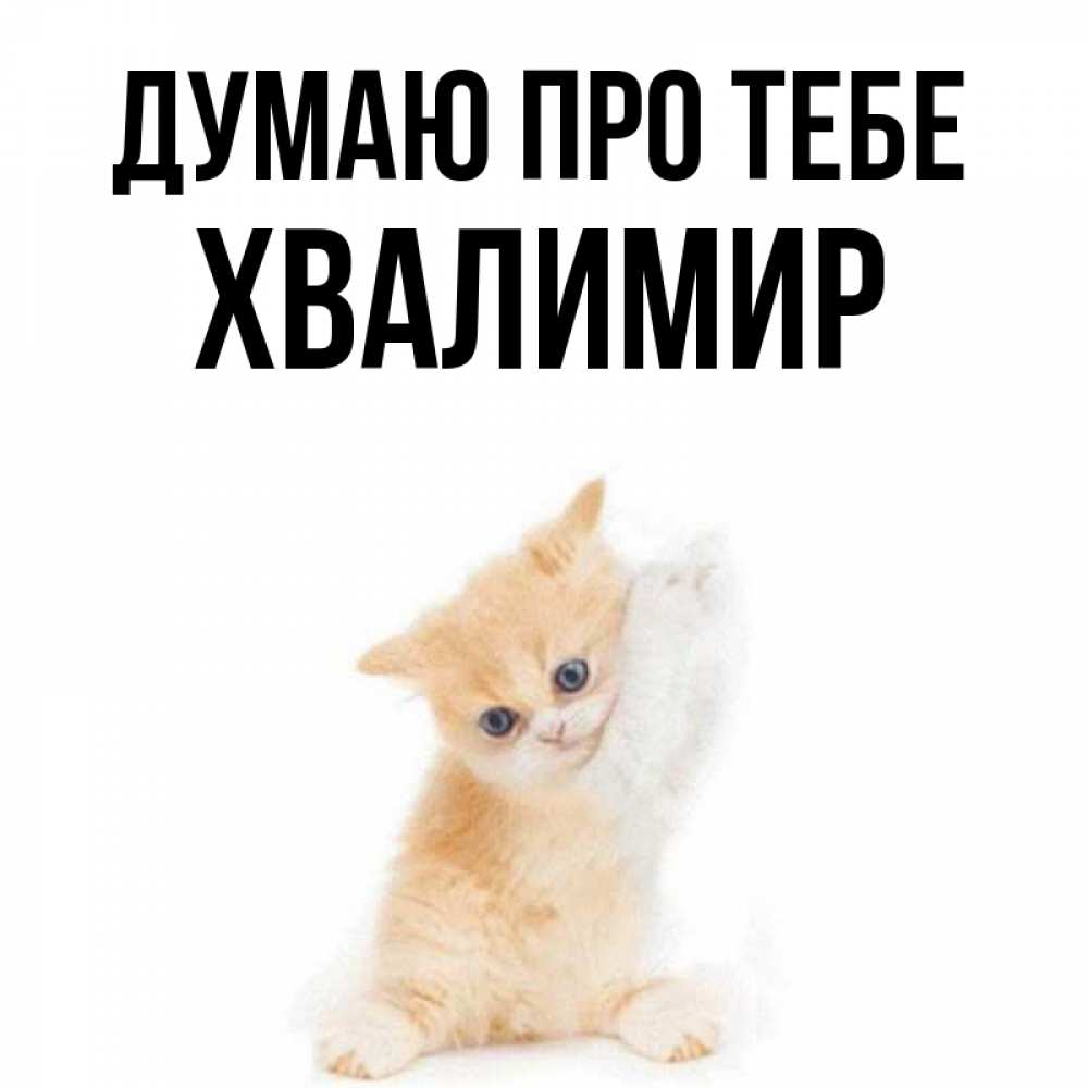 Открытка на каждый день з підписом, Хвалимир Думаю про тебе зверушки и милота Прикольна листівка з побажанням онлайн скачати безкоштовно 