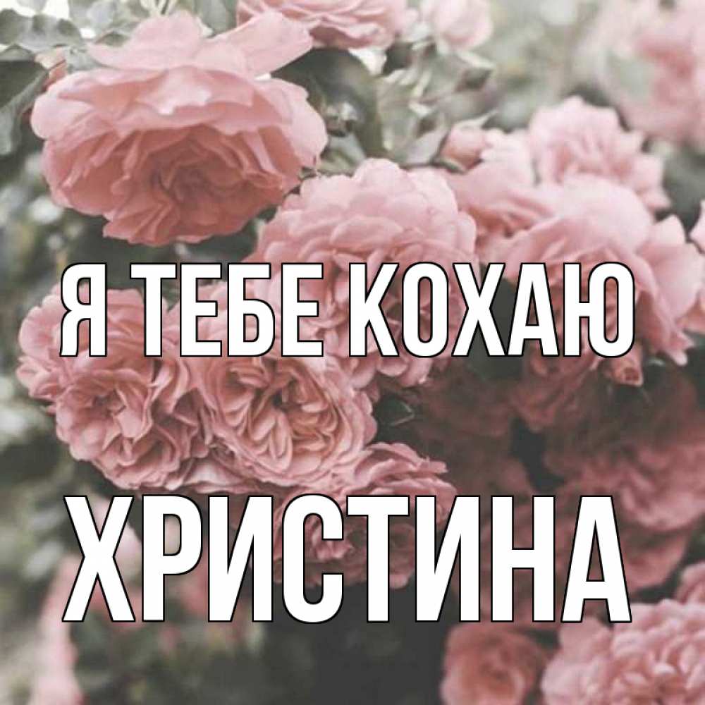 Открытка на каждый день з підписом, Христина Я тебе кохаю розы 3 Прикольна листівка з побажанням онлайн скачати безкоштовно 