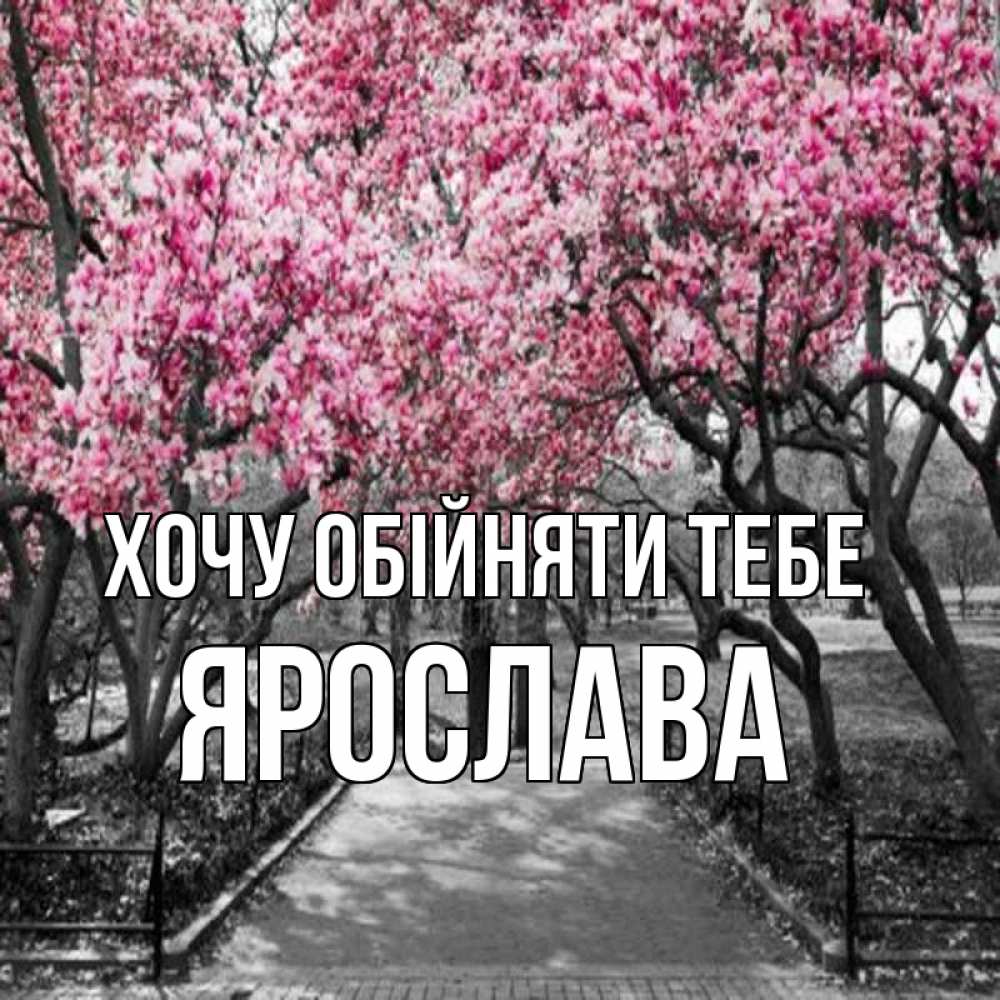 Открытка на каждый день з підписом, Ярослава Хочу обійняти тебе обработанное фото Прикольна листівка з побажанням онлайн скачати безкоштовно 