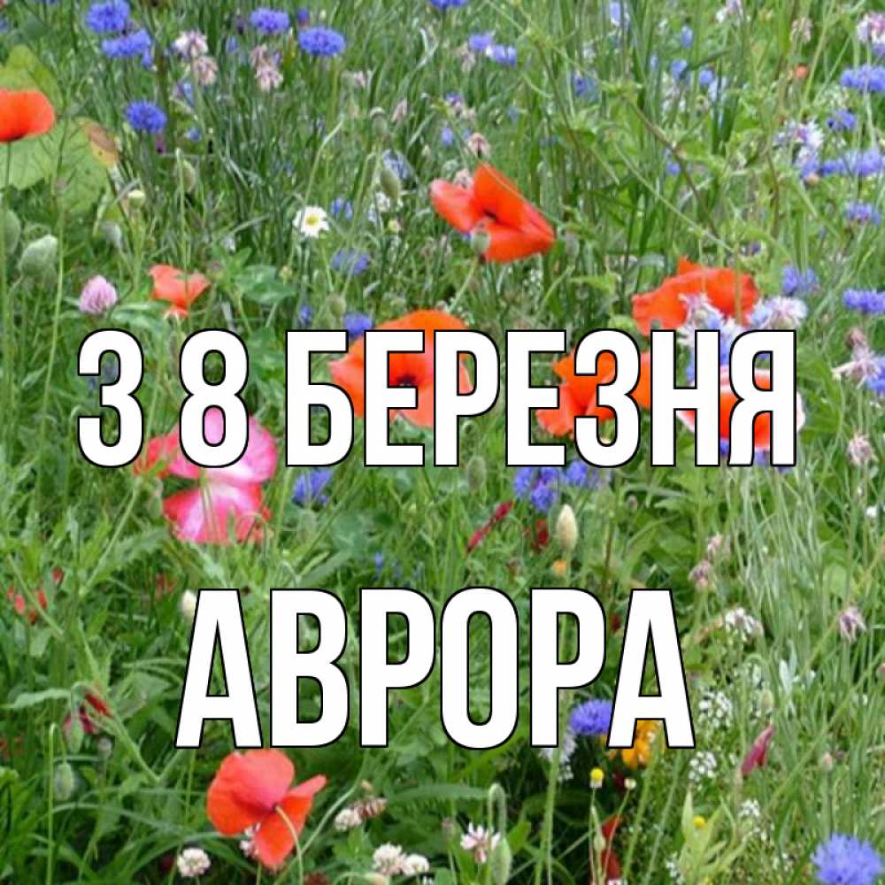 Открытка на каждый день з підписом, Аврора З 8 БЕРЕЗНЯ международный женский день 4 Прикольна листівка з побажанням онлайн скачати безкоштовно 