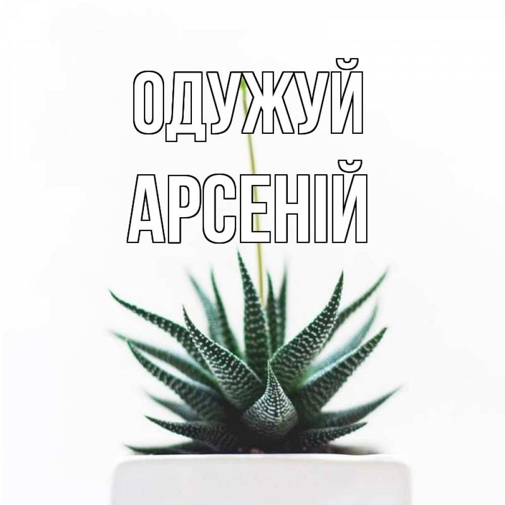 Открытка на каждый день з підписом, Арсеній Одужуй короче это непонятная колючка Прикольна листівка з побажанням онлайн скачати безкоштовно 