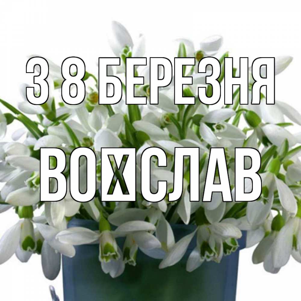 Открытка на каждый день з підписом, Воїслав З 8 БЕРЕЗНЯ цветы к международному женскому дню Прикольна листівка з побажанням онлайн скачати безкоштовно 