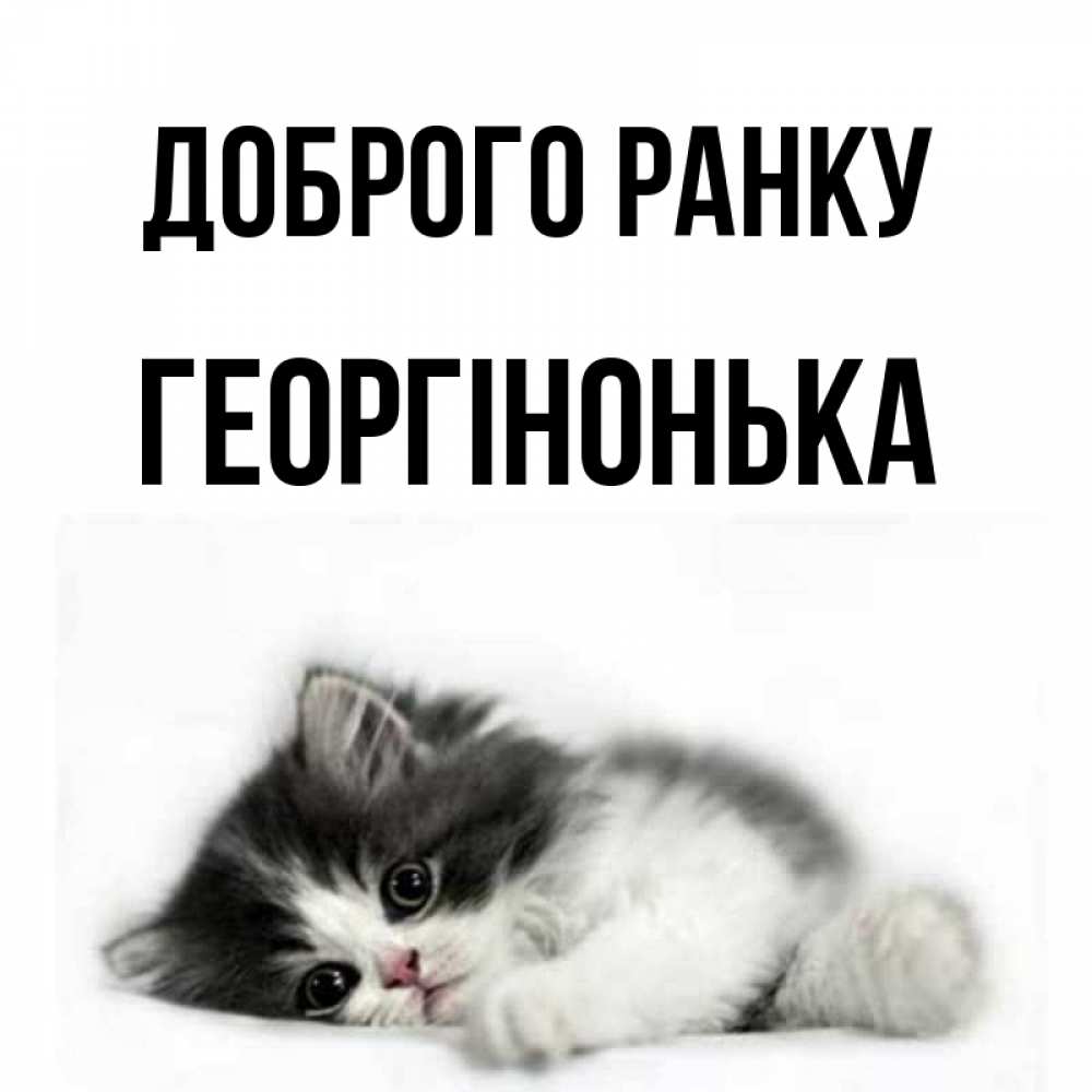 Открытка на каждый день з підписом, Георгінонька Доброго ранку кот лапки Прикольна листівка з побажанням онлайн скачати безкоштовно 