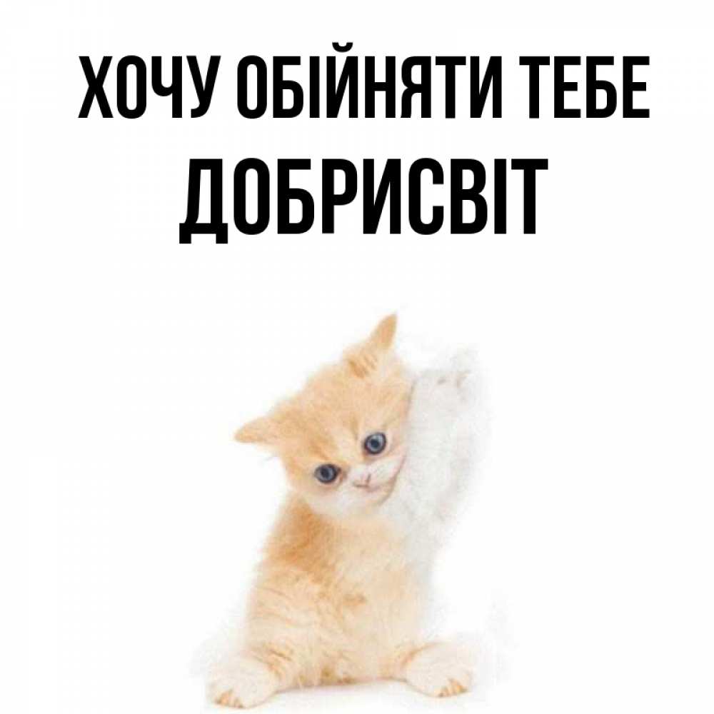 Открытка на каждый день з підписом, Добрисвіт Хочу обійняти тебе я хочу очень скорее обнимаешек Прикольна листівка з побажанням онлайн скачати безкоштовно 