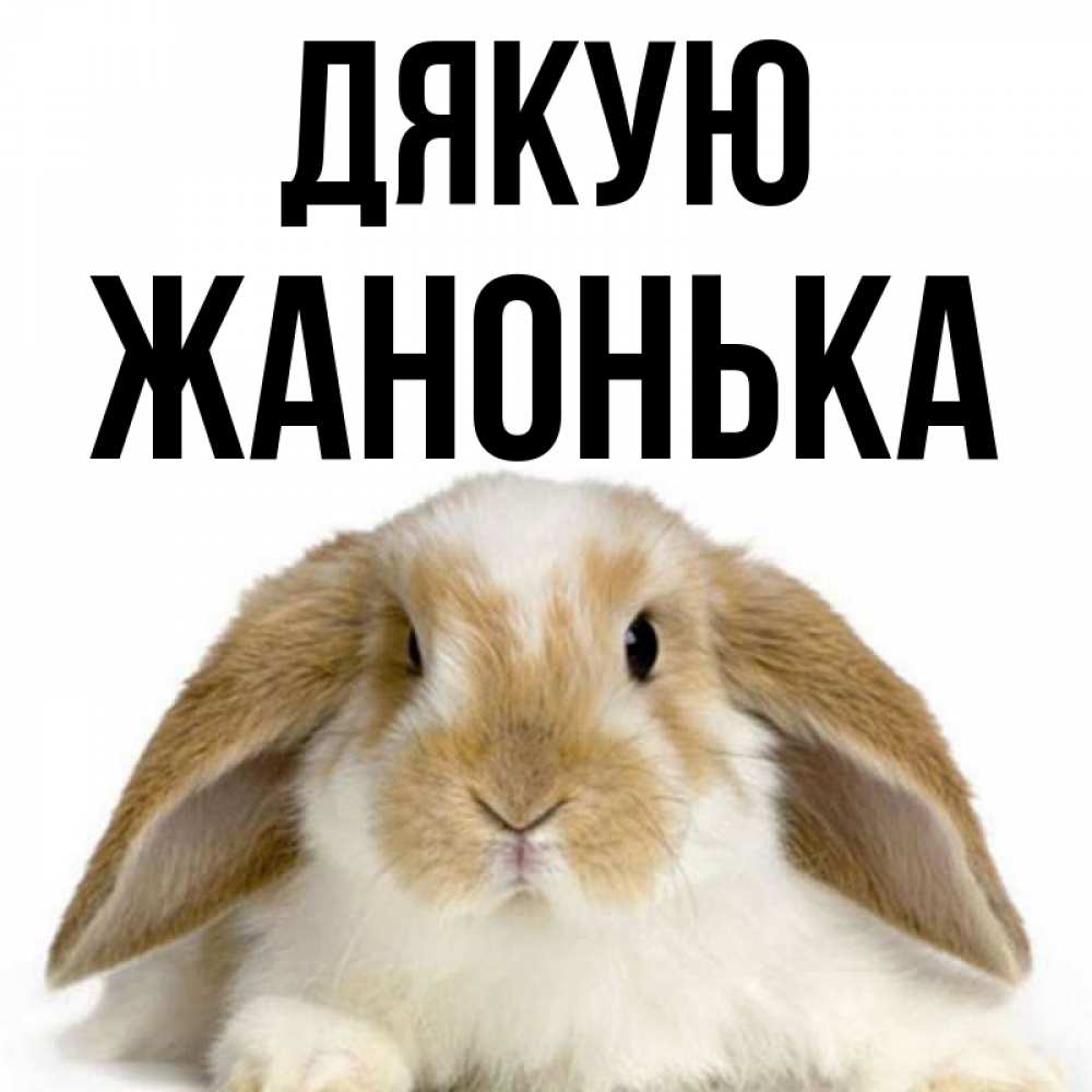 Открытка на каждый день з підписом, Жанонька Дякую коричнево белый заяц Прикольна листівка з побажанням онлайн скачати безкоштовно 