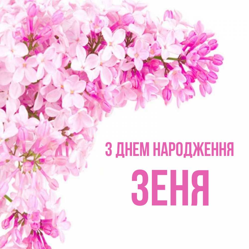 Открытка на каждый день з підписом, Зеня З Днем народження Сирень на белом фоне Прикольна листівка з побажанням онлайн скачати безкоштовно 