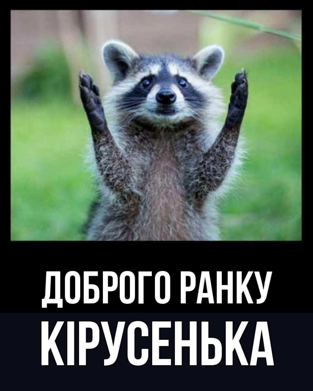 Открытка на каждый день з підписом, Кірусенька Доброго ранку хорошее настроение утречком Прикольна листівка з побажанням онлайн скачати безкоштовно 