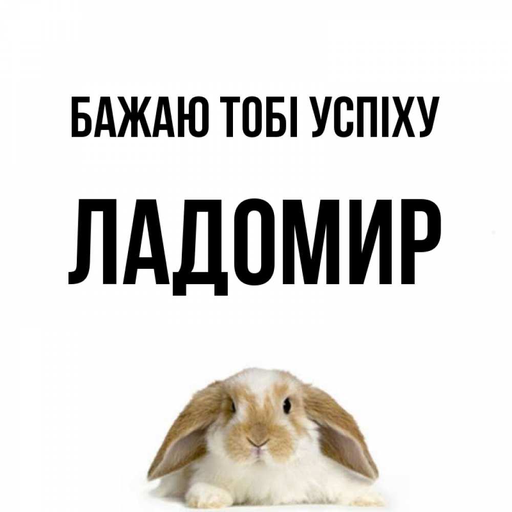 Открытка на каждый день з підписом, Ладомир Бажаю тобі успіху открытки с произвольным текстом который можно вставить в открытку и создать ее самостоятельно бесплатно онлайн Прикольна листівка з побажанням онлайн скачати безкоштовно 