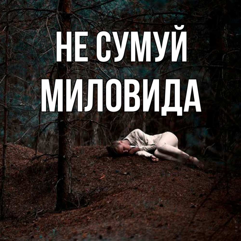 Открытка на каждый день з підписом, Миловида Не сумуй лес Прикольна листівка з побажанням онлайн скачати безкоштовно 