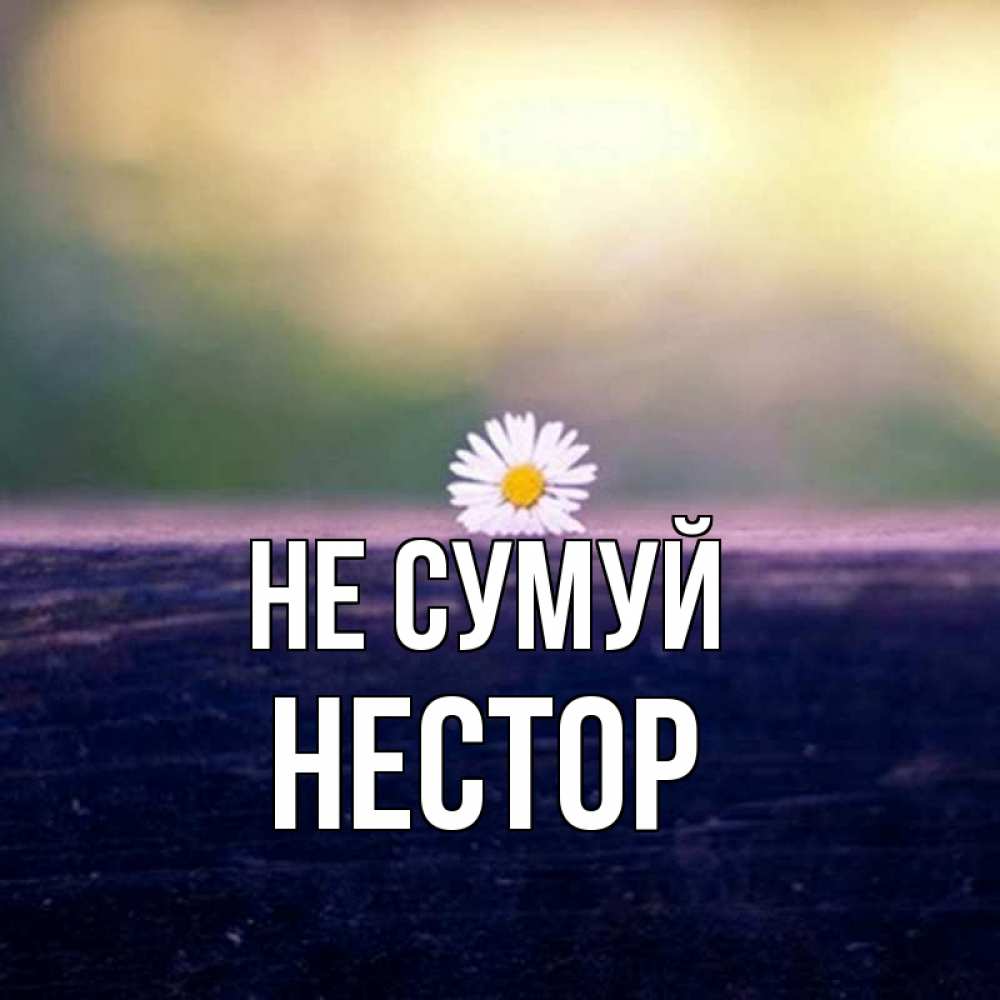 Открытка на каждый день з підписом, Нестор Не сумуй красота Прикольна листівка з побажанням онлайн скачати безкоштовно 