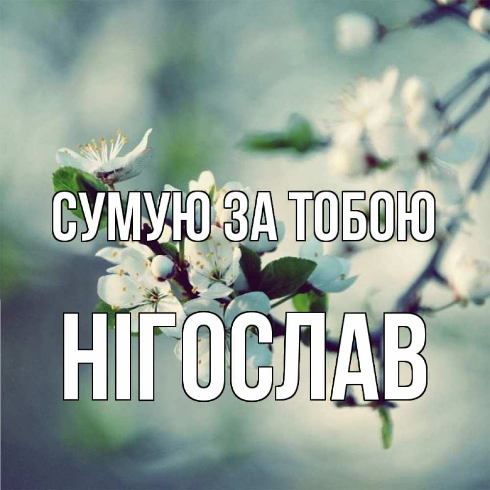 Открытка на каждый день з підписом, Нігослав Сумую за тобою весна Прикольна листівка з побажанням онлайн скачати безкоштовно 