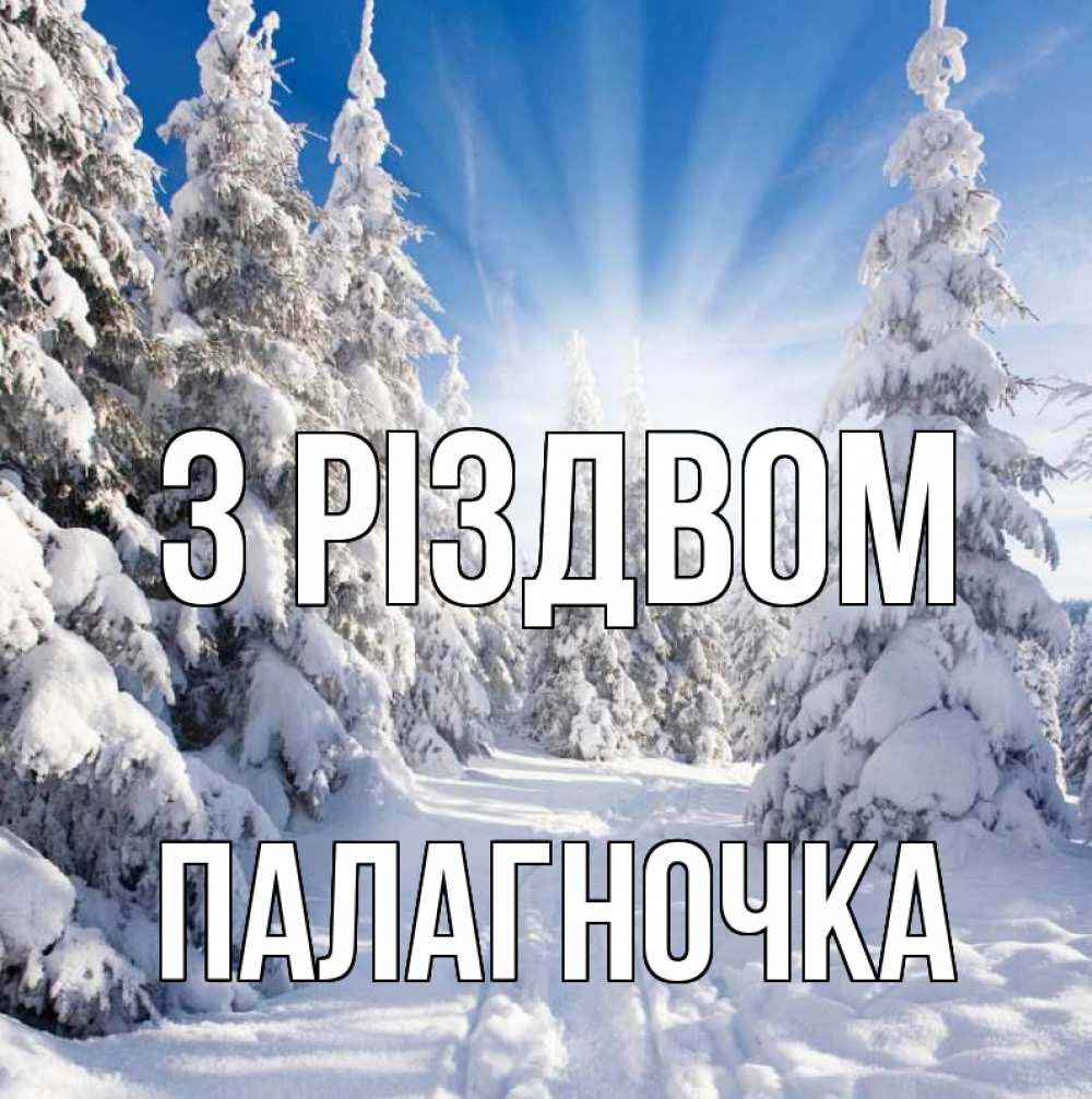 Открытка на каждый день з підписом, Палагночка З Різдвом зима, лес Прикольна листівка з побажанням онлайн скачати безкоштовно 
