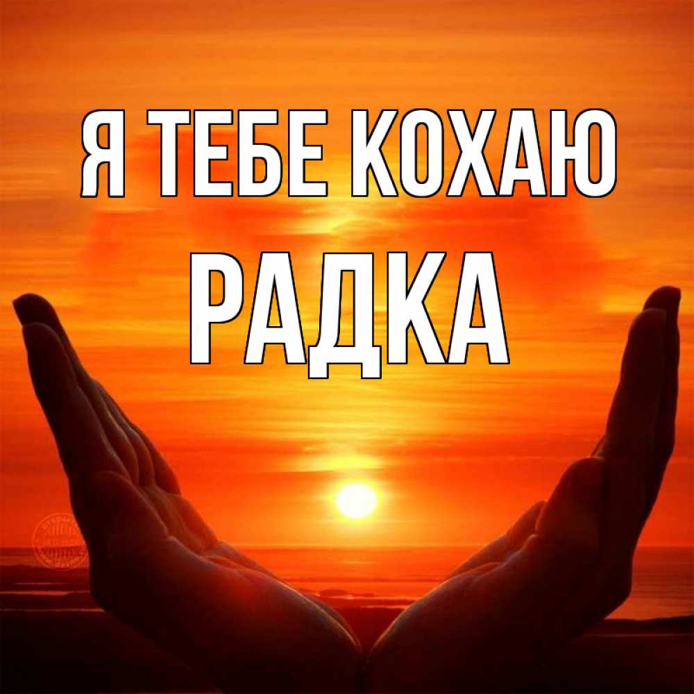 Открытка на каждый день з підписом, Радка Я тебе кохаю в руках Прикольна листівка з побажанням онлайн скачати безкоштовно 