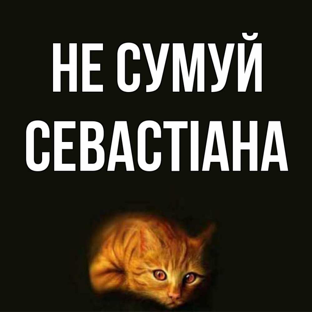 Открытка на каждый день з підписом, Севастіана Не сумуй лежащий кот в темноте Прикольна листівка з побажанням онлайн скачати безкоштовно 