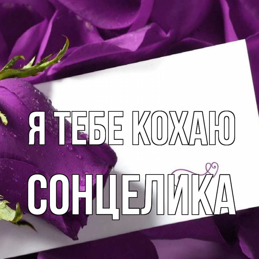Открытка на каждый день з підписом, Сонцелика Я тебе кохаю роза Прикольна листівка з побажанням онлайн скачати безкоштовно 