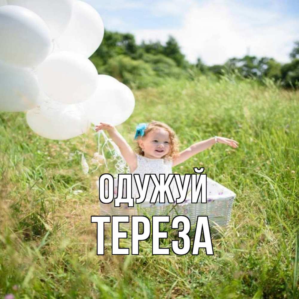 Открытка на каждый день з підписом, Тереза Одужуй девочка сидит в корзине наверное от этого больной должен выздороветь Прикольна листівка з побажанням онлайн скачати безкоштовно 