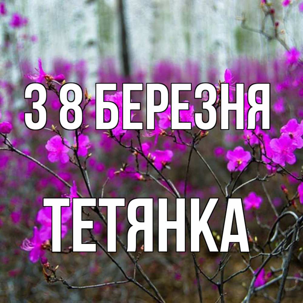 Открытка на каждый день з підписом, Тетянка З 8 БЕРЕЗНЯ дикие цветы Прикольна листівка з побажанням онлайн скачати безкоштовно 
