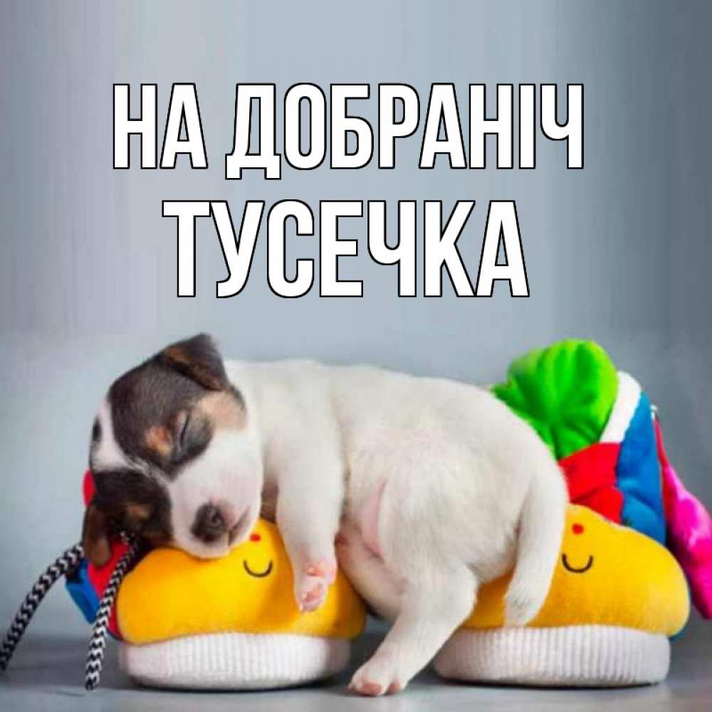 Открытка на каждый день з підписом, Тусечка На добраніч собачка Прикольна листівка з побажанням онлайн скачати безкоштовно 