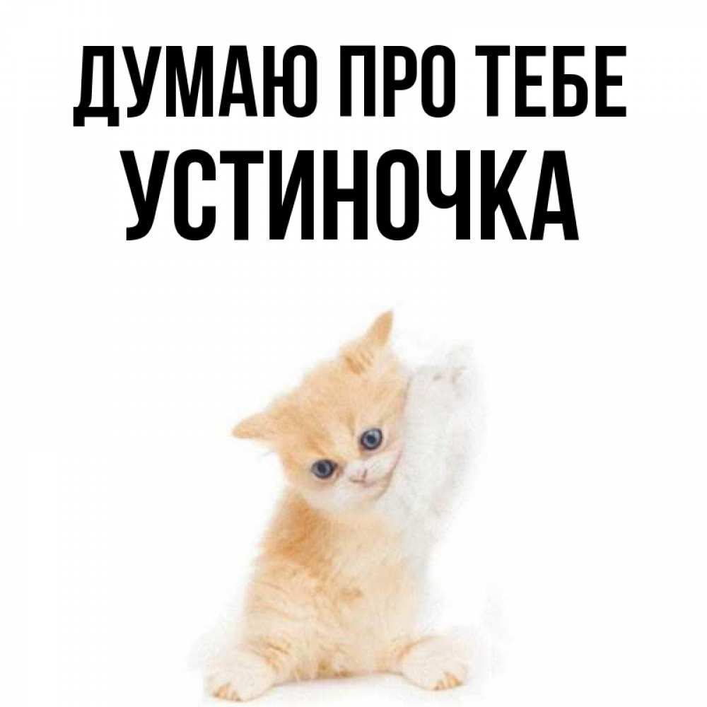 Открытка на каждый день з підписом, Устиночка Думаю про тебе зверушки и милота Прикольна листівка з побажанням онлайн скачати безкоштовно 