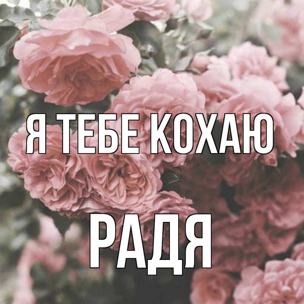 Открытка на каждый день з підписом, Радя Я тебе кохаю розы 3 Прикольна листівка з побажанням онлайн скачати безкоштовно 