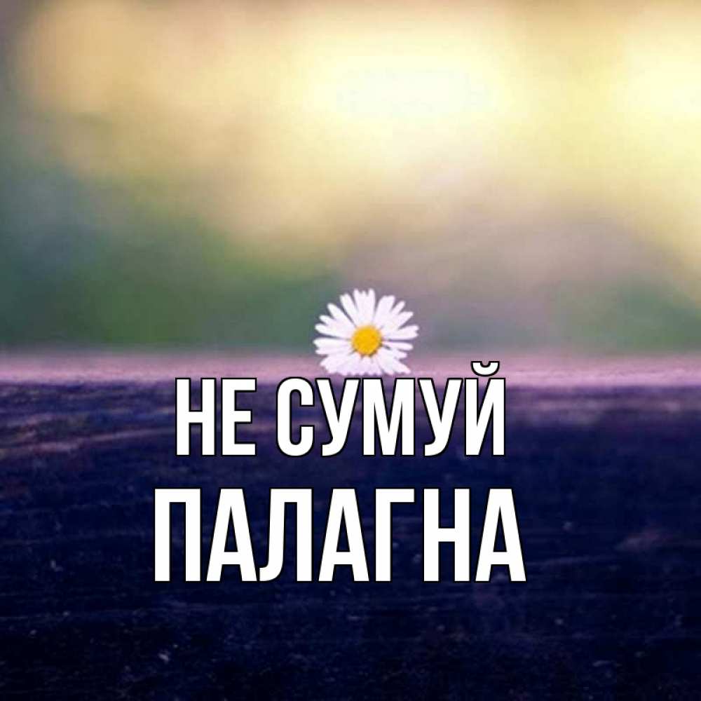 Открытка на каждый день з підписом, Палагна Не сумуй красота Прикольна листівка з побажанням онлайн скачати безкоштовно 