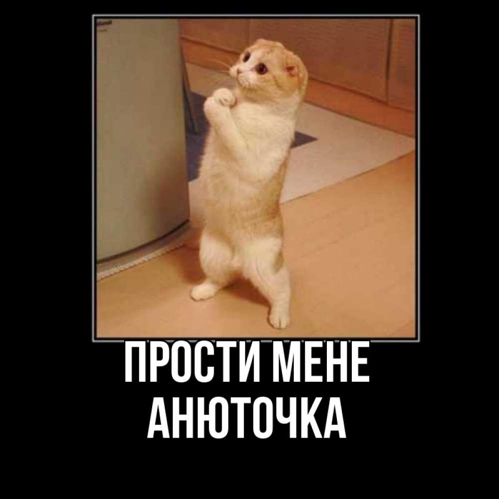 Открытка на каждый день з підписом, Анюточка Прости мене открытка с милым несчастным котиком просящим прощения Прикольна листівка з побажанням онлайн скачати безкоштовно 