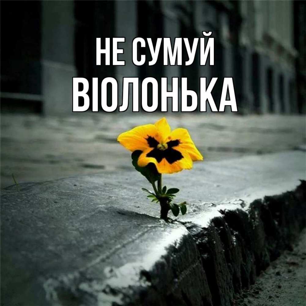 Открытка на каждый день з підписом, Віолонька Не сумуй не сдавайся Прикольна листівка з побажанням онлайн скачати безкоштовно 