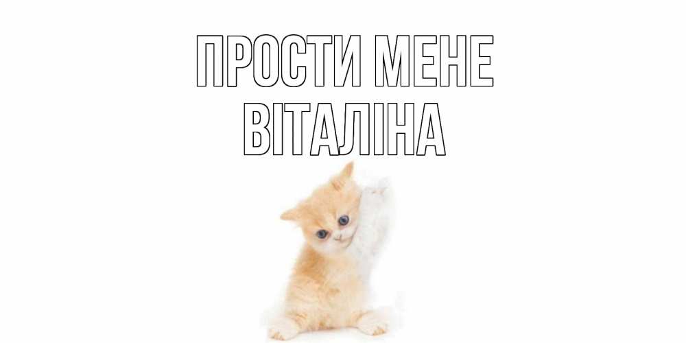 Открытка на каждый день з підписом, Віталіна Прости мене кот Прикольна листівка з побажанням онлайн скачати безкоштовно 