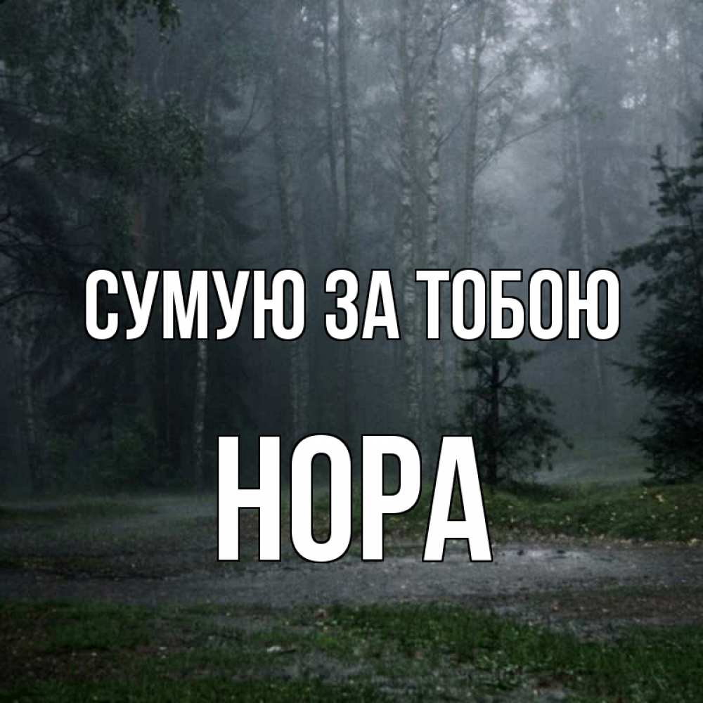 Открытка на каждый день з підписом, Нора Сумую за тобою одна и плохо мне Прикольна листівка з побажанням онлайн скачати безкоштовно 