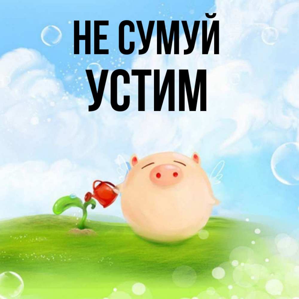 Открытка на каждый день з підписом, Устим Не сумуй поливает цветок порося Прикольна листівка з побажанням онлайн скачати безкоштовно 