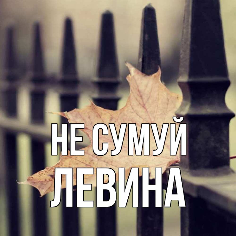 Открытка на каждый день з підписом, Левина Не сумуй лист клена Прикольна листівка з побажанням онлайн скачати безкоштовно 