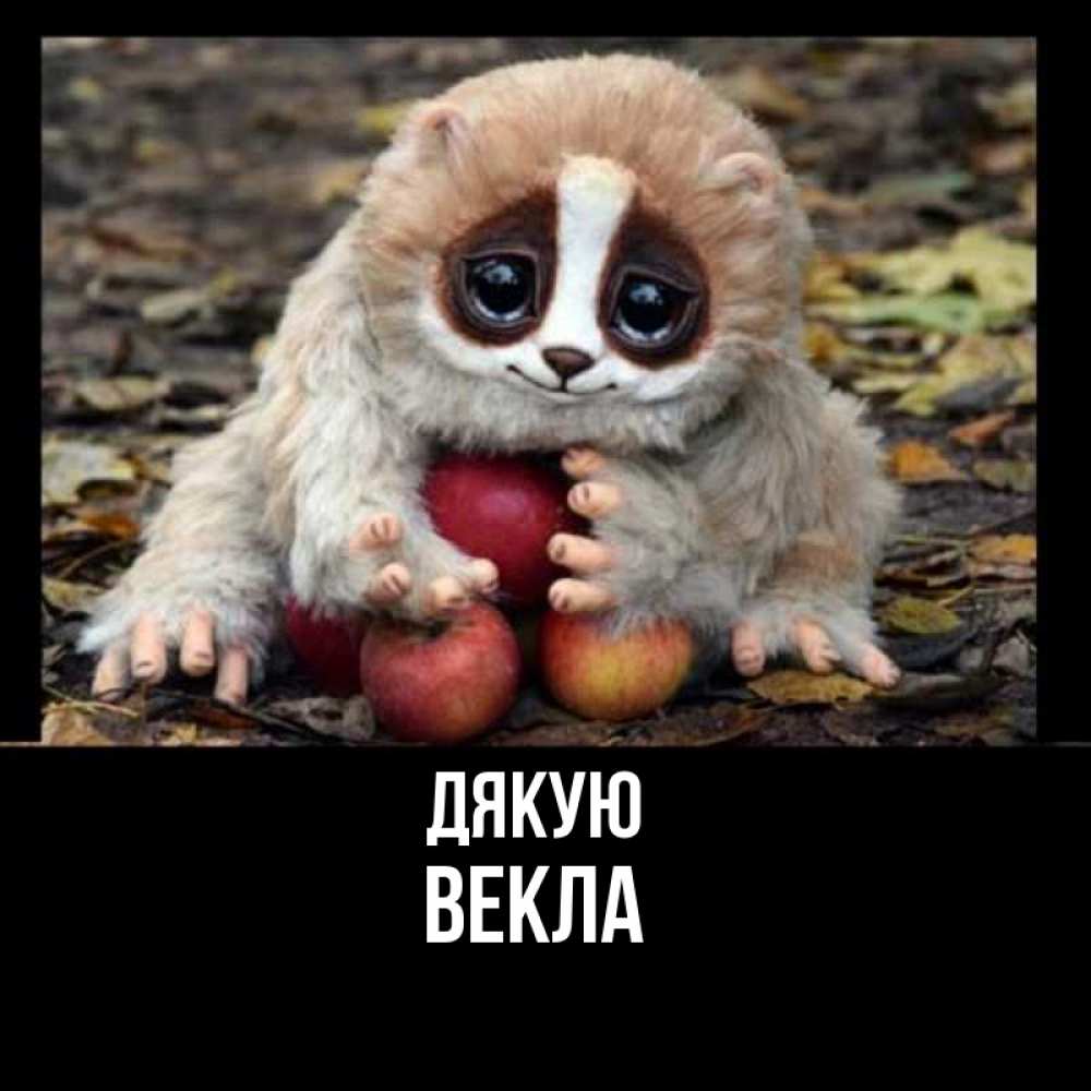 Открытка на каждый день з підписом, Векла Дякую прикольное животное Прикольна листівка з побажанням онлайн скачати безкоштовно 