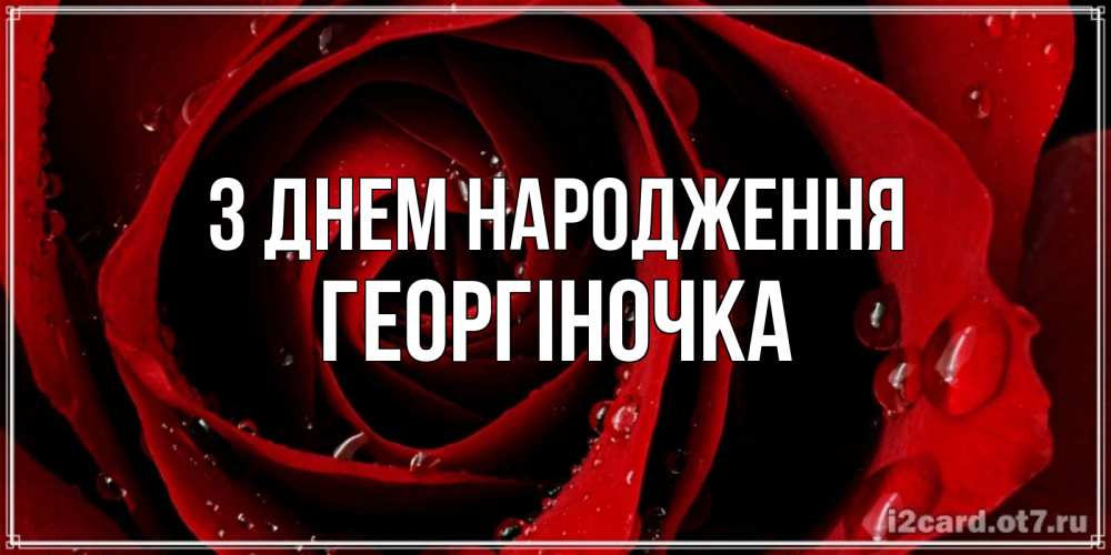 Открытка на каждый день з підписом, Георгіночка З Днем народження крупная бордовая роза Прикольна листівка з побажанням онлайн скачати безкоштовно 