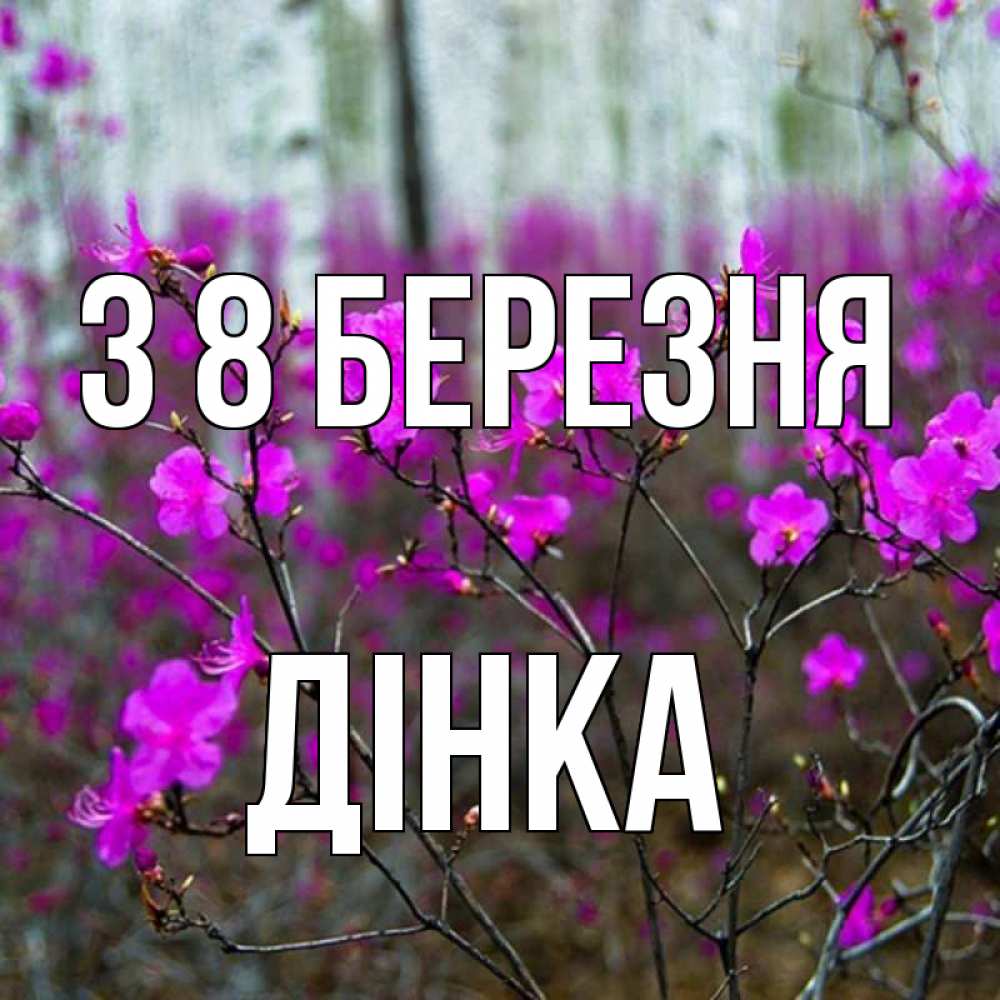 Открытка на каждый день з підписом, Дінка З 8 БЕРЕЗНЯ дикие цветы Прикольна листівка з побажанням онлайн скачати безкоштовно 