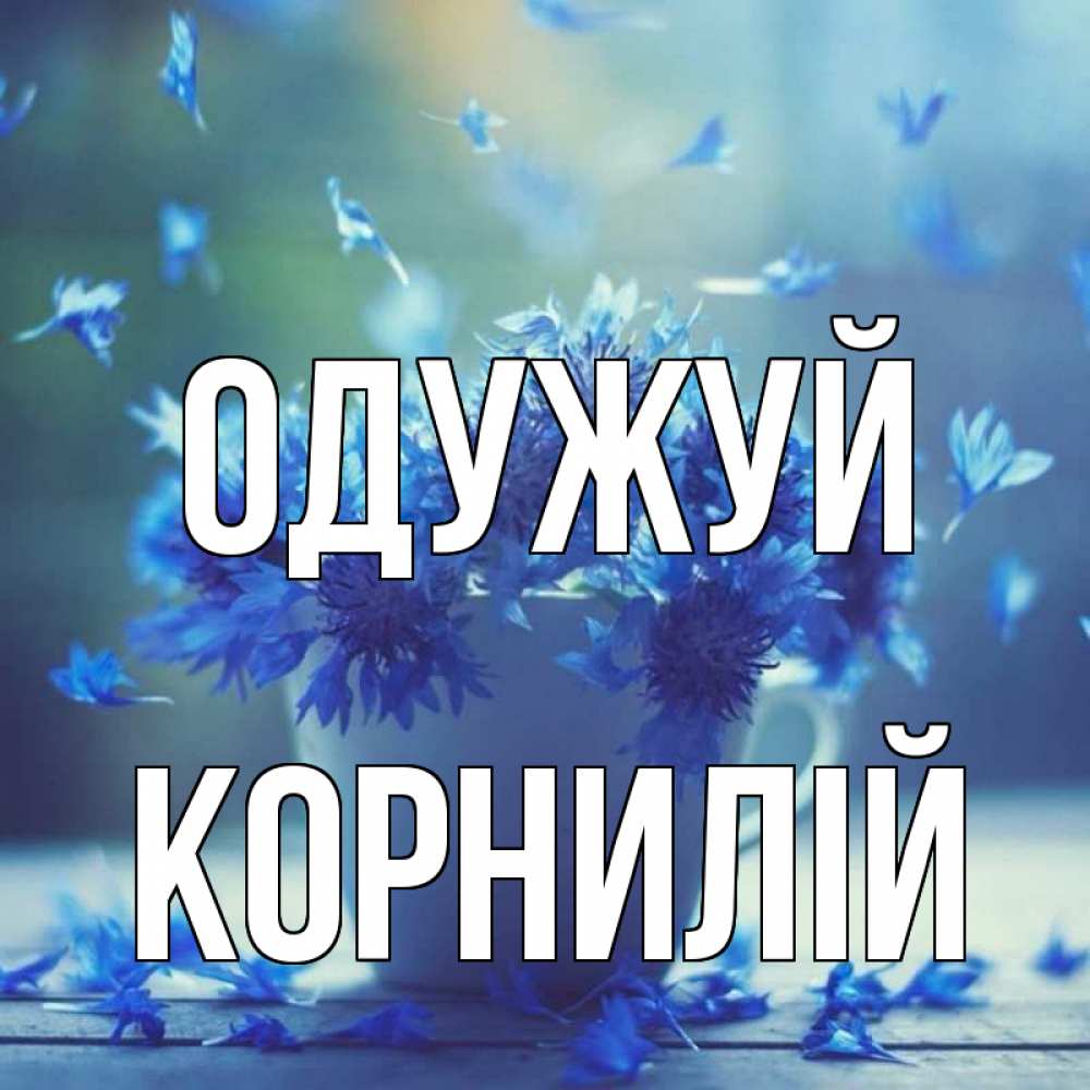 Открытка на каждый день з підписом, Корнилій Одужуй кружка с зельем и цветами Прикольна листівка з побажанням онлайн скачати безкоштовно 
